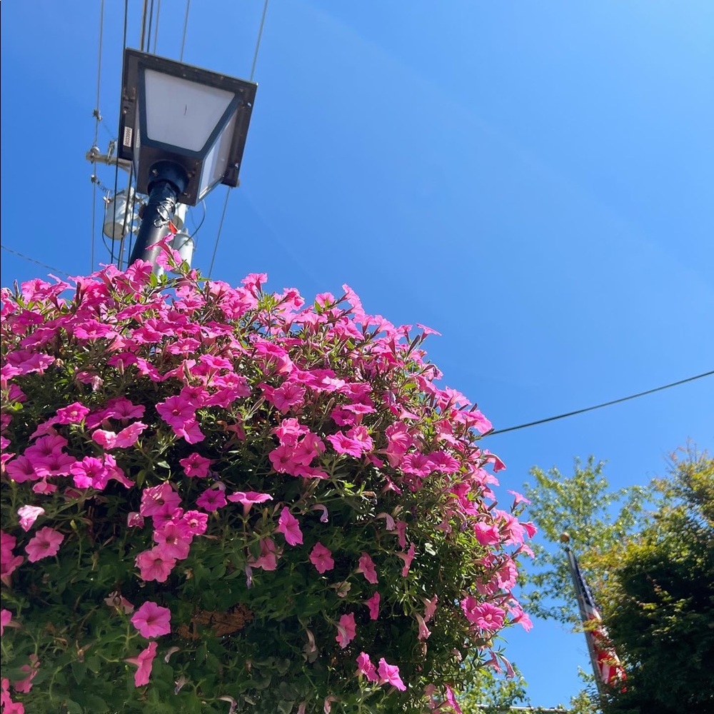 New Clothes! (read description)